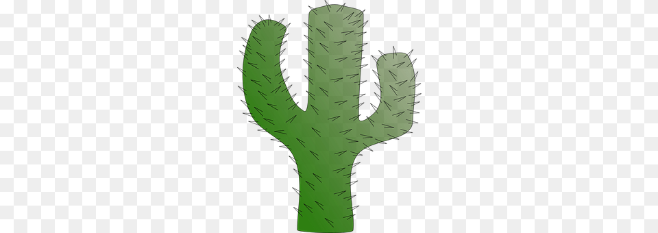 Cactus Plant, Clothing, Glove Free Transparent Png
