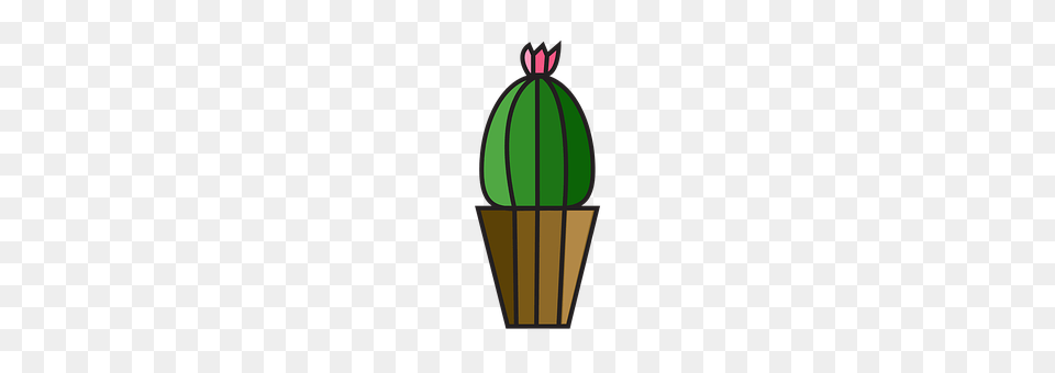 Cactus Png