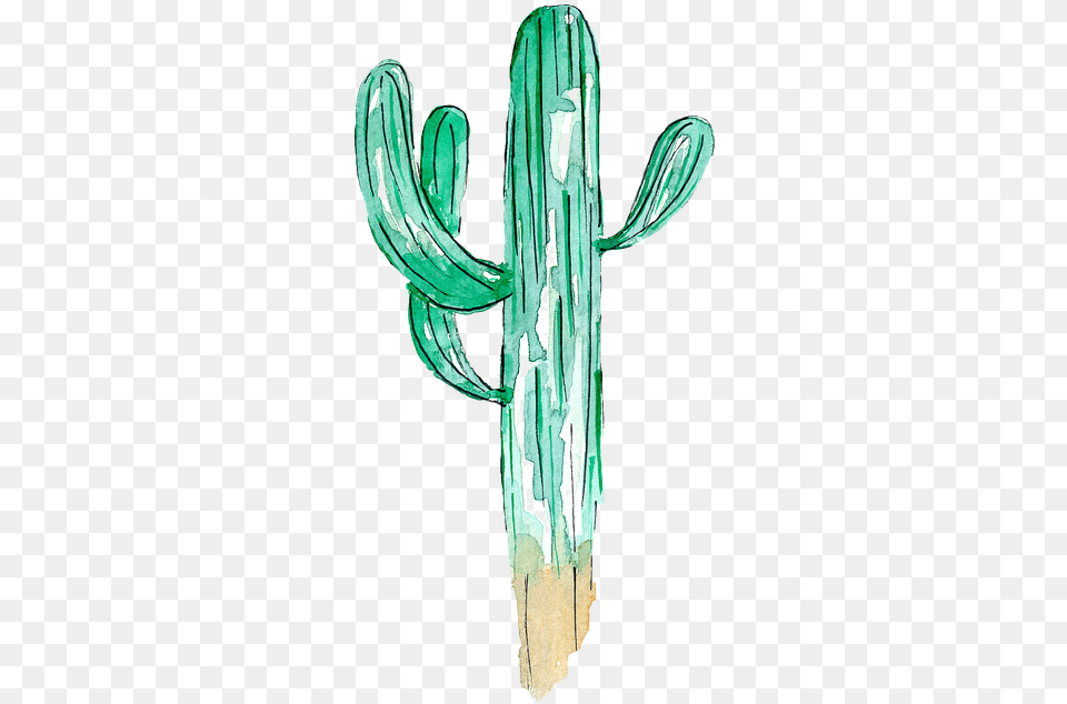 Cactus, Plant Free Transparent Png