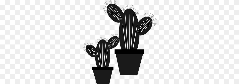 Cactus Free Png