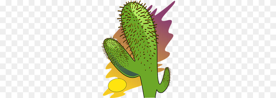 Cactus Bud, Flower, Plant, Sprout Free Png
