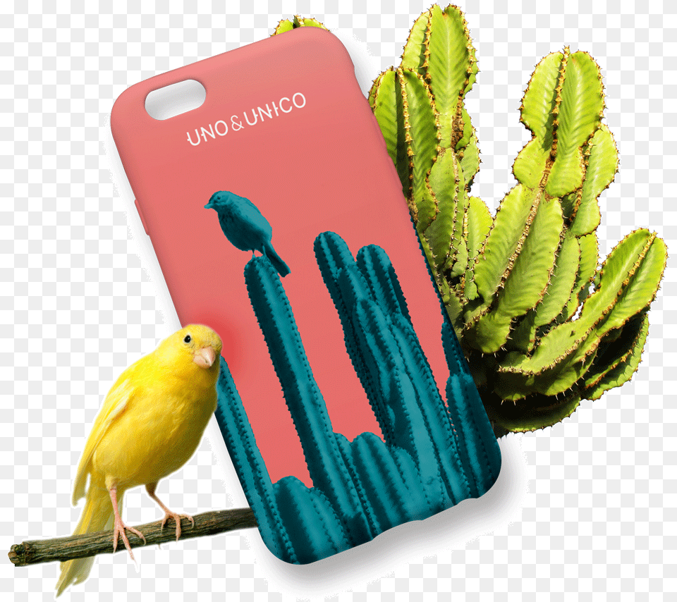 Cactus, Animal, Bird, Electronics, Phone Png