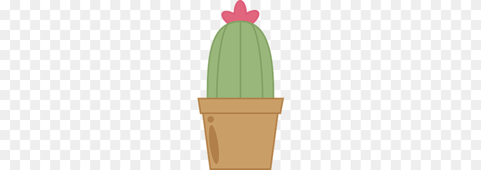 Cactus Plant, Potted Plant, Jar, Planter Png