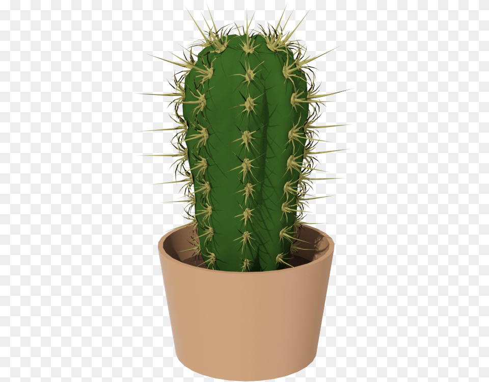 Cactus, Plant Png