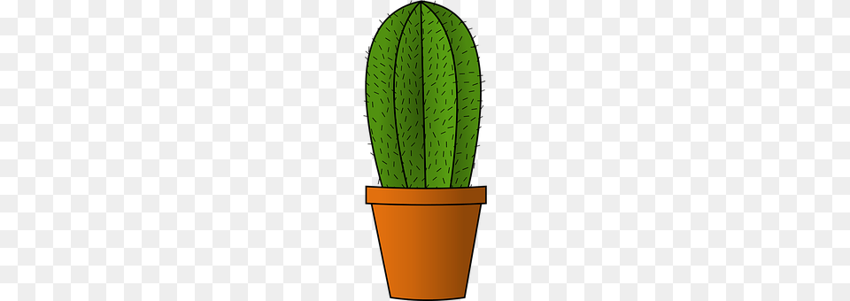 Cactus Plant Png Image