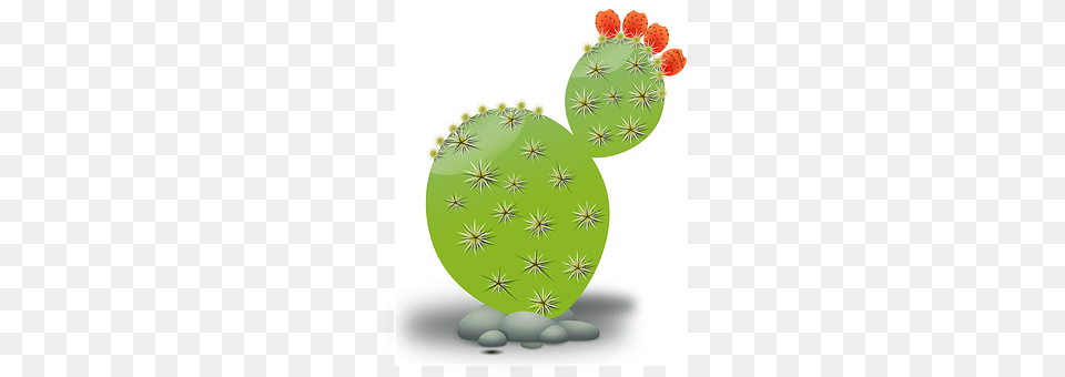 Cactus Plant Free Png Download