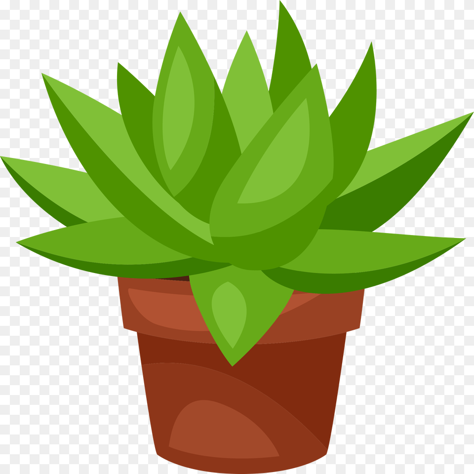 Cactus, Aloe, Leaf, Plant Free Transparent Png