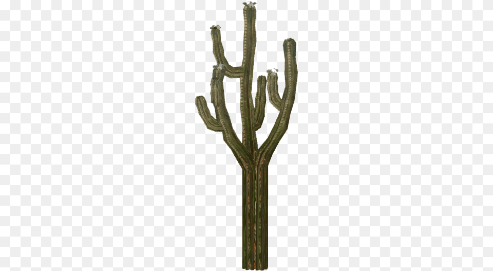 Cactus 5 Wood, Plant, Chandelier, Lamp Free Png Download