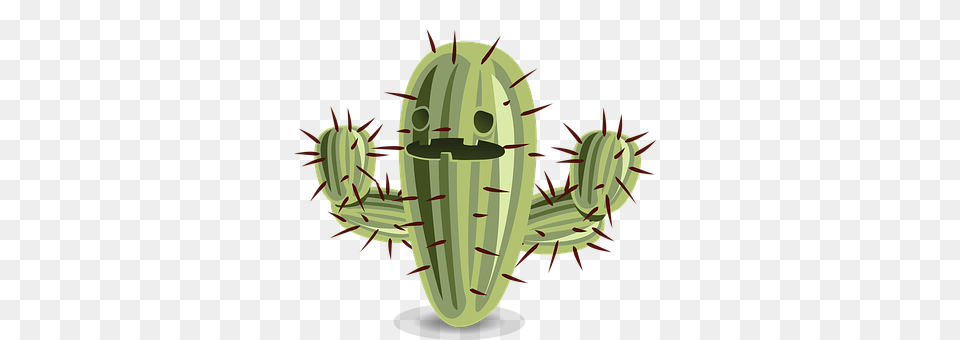 Cactus Plant Png