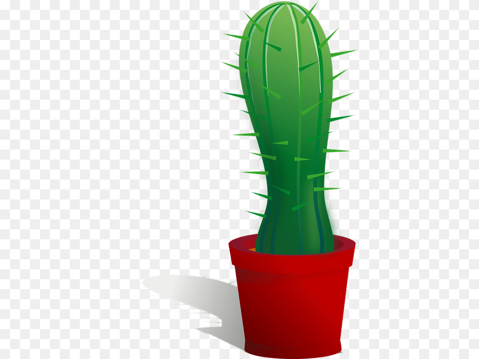 Cactus, Plant, Dynamite, Weapon Png Image