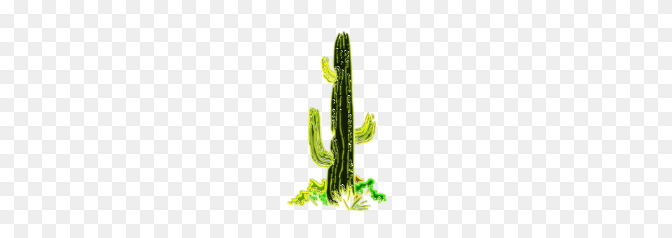 Cactus Plant, Smoke Pipe Free Png