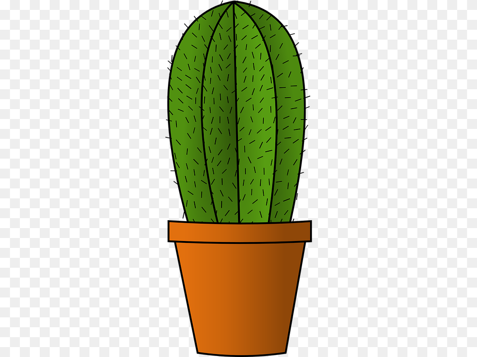 Cactus, Plant Free Png Download