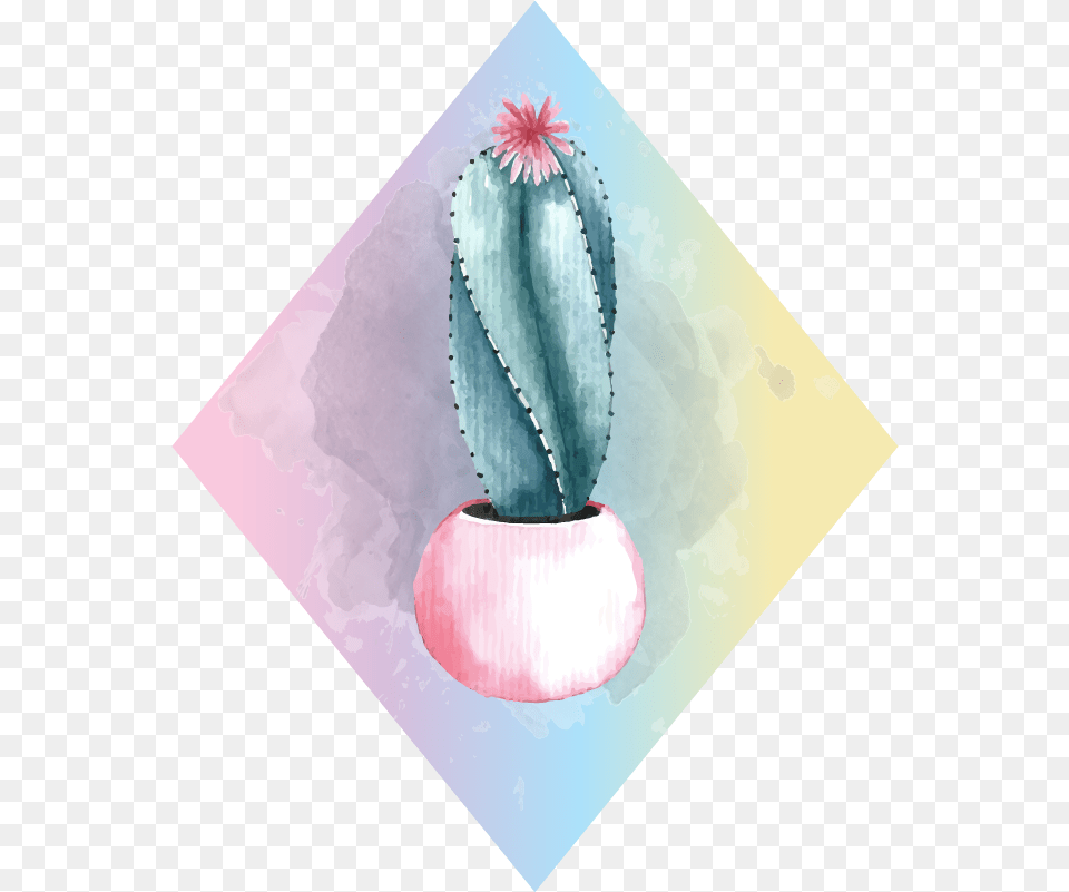 Cactus, Plant Free Png Download