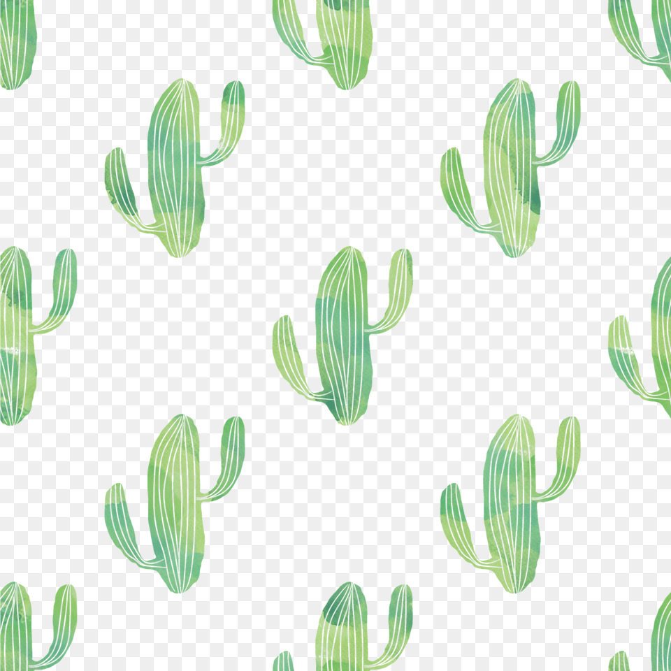Cactus Background Free Digital Paper Cactus, Plant Png