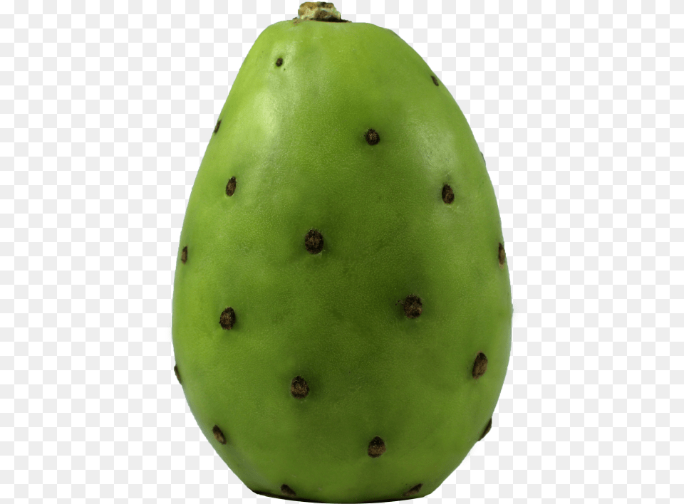 Cactus Barbary Fig, Food, Fruit, Plant, Produce Free Transparent Png