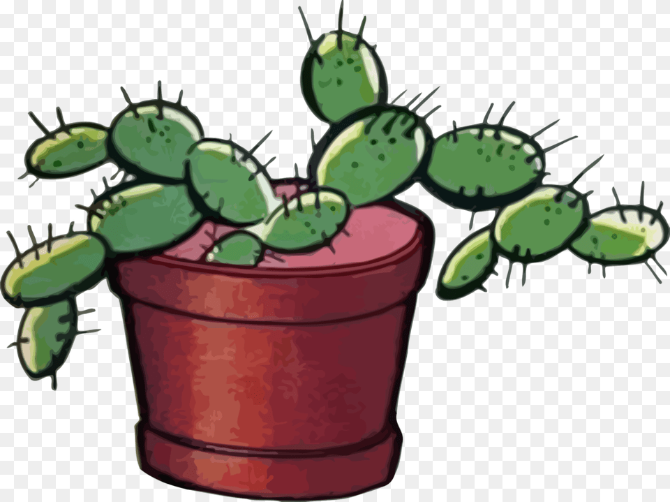 Cactus Barbary Fig Thorns Spines And Prickles Computer Icons, Plant Free Transparent Png