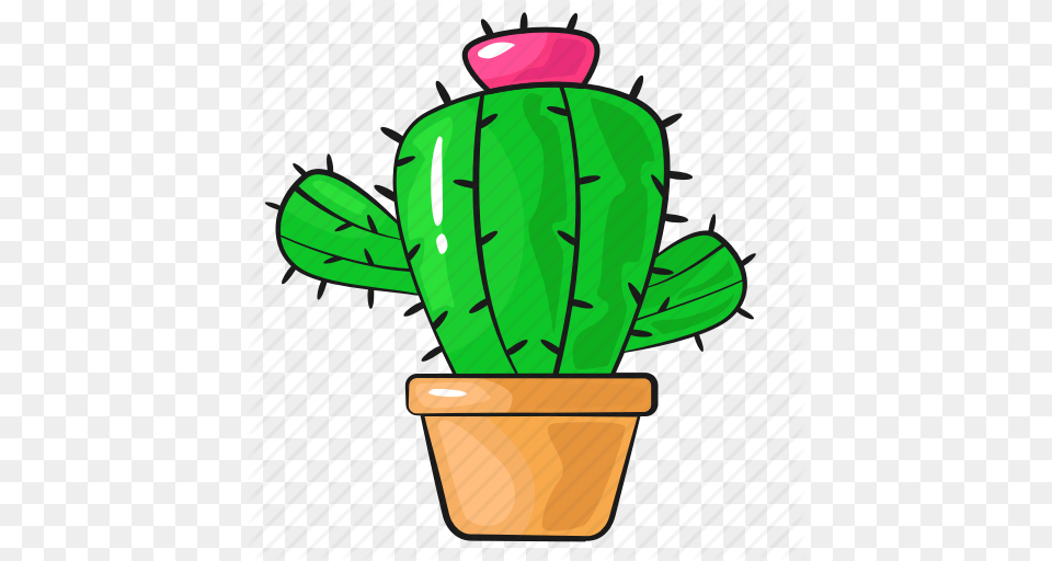 Cactus Cartoon Flower Line Plant Set Template Icon Free Transparent Png