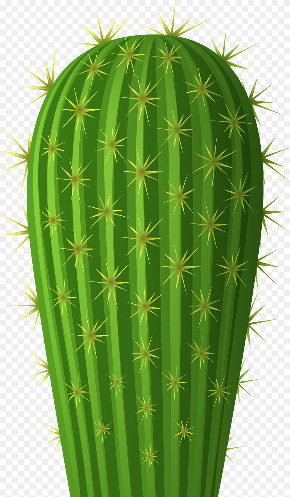 Cactus Christmas Transparent Cactus, Symbol, Astronomy, Moon, Nature Png