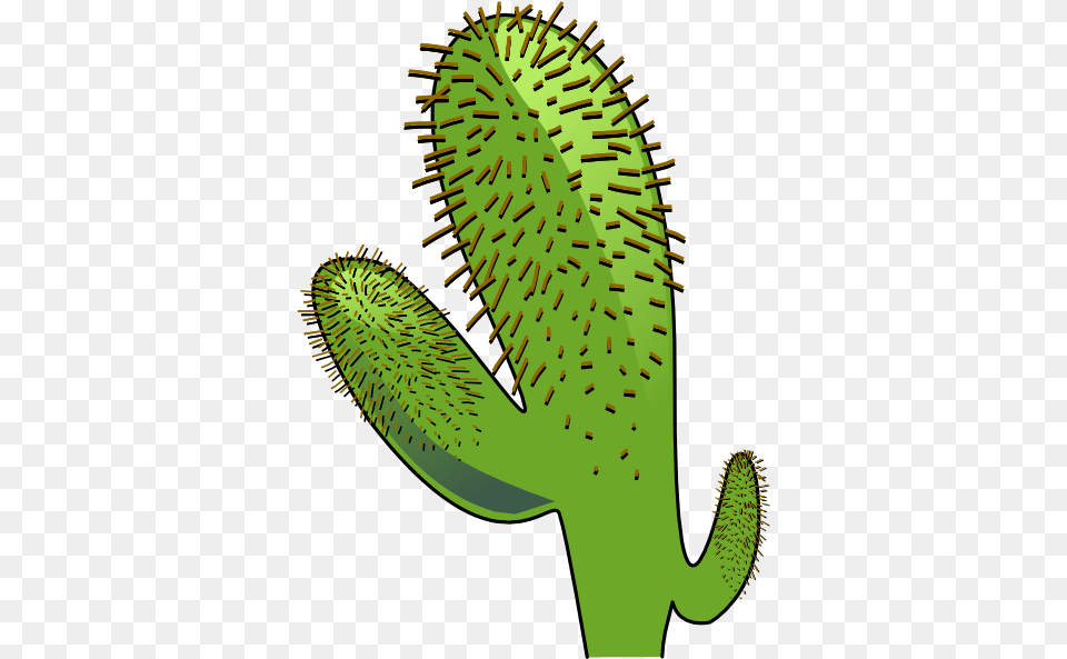 Cactus Clip Art, Plant Free Png Download