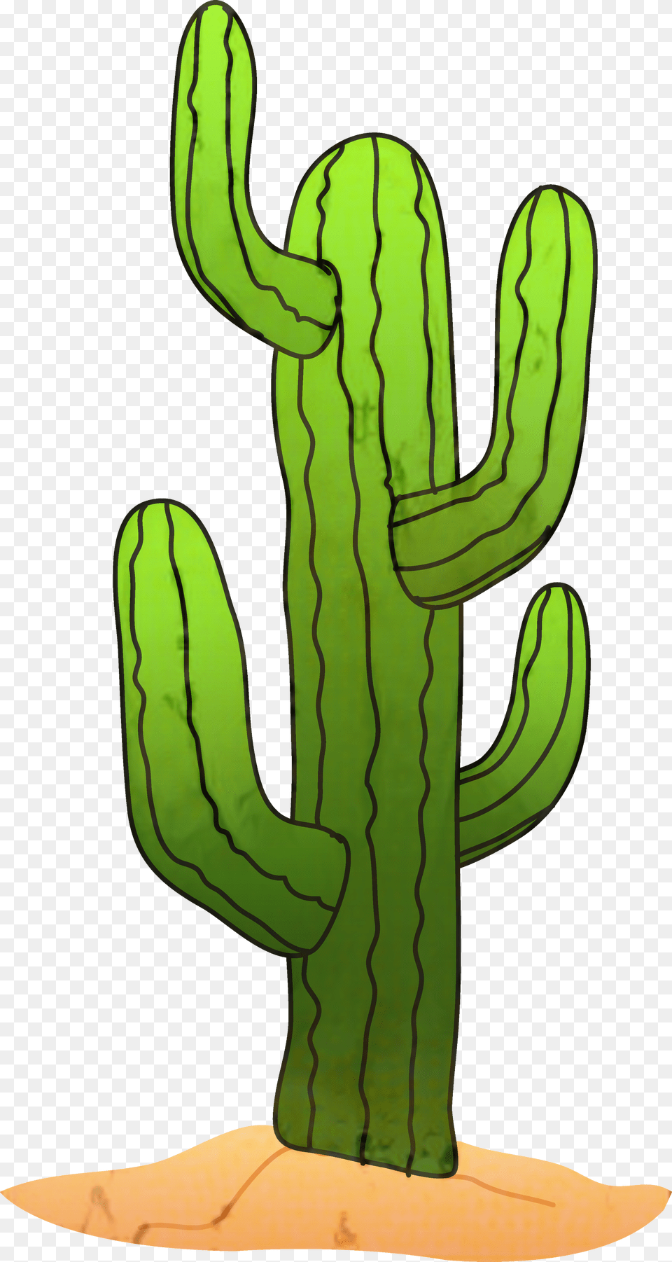 Cactus Clip Art Saguaro Portable Network Graphics Image Cactus Clipart Background, Plant Free Transparent Png