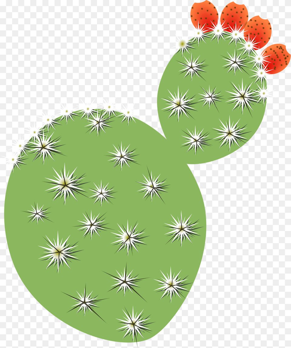 Cactus Clipart, Flower, Plant Png