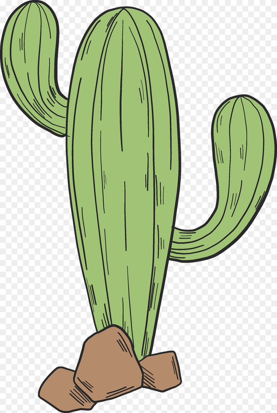 Cactus Clipart, Plant Free Png Download