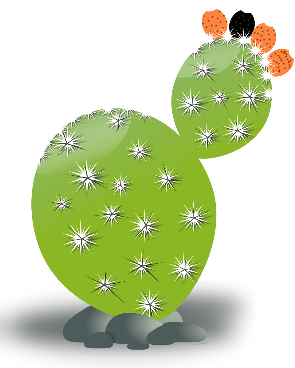 Cactus Clipart, Plant Png