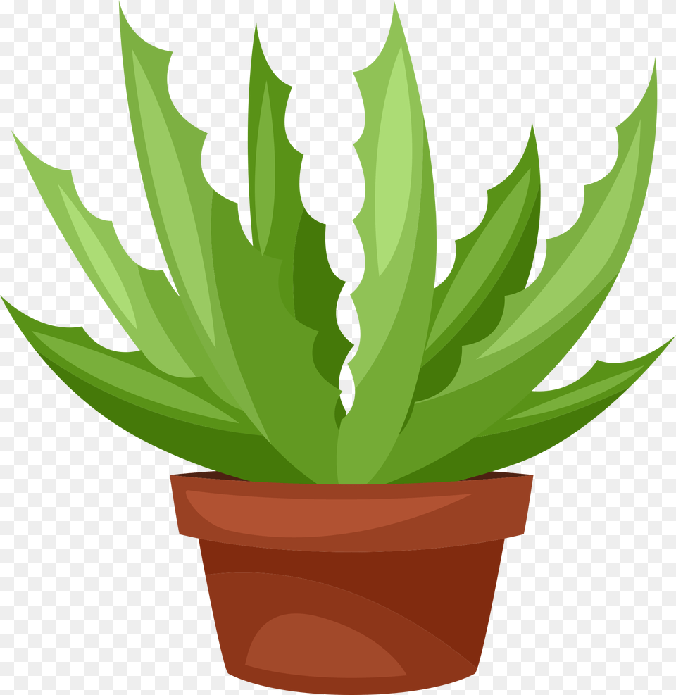 Cactus Clipart, Leaf, Plant, Potted Plant, Aloe Free Png