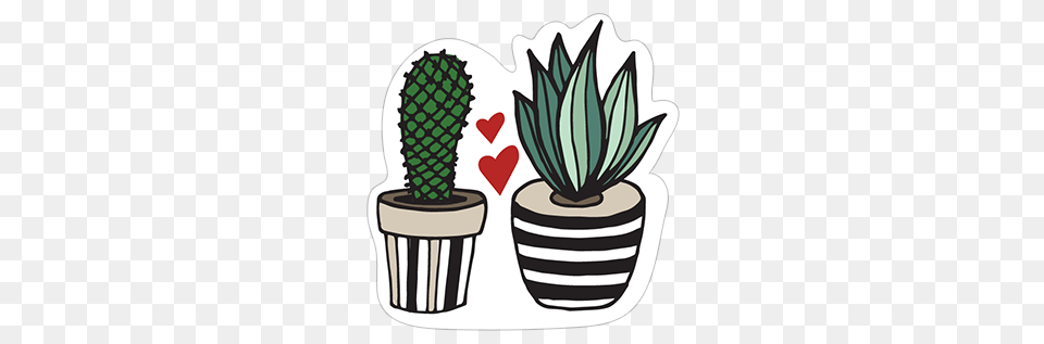 Cactus Clipart, Jar, Plant, Planter, Potted Plant Png Image
