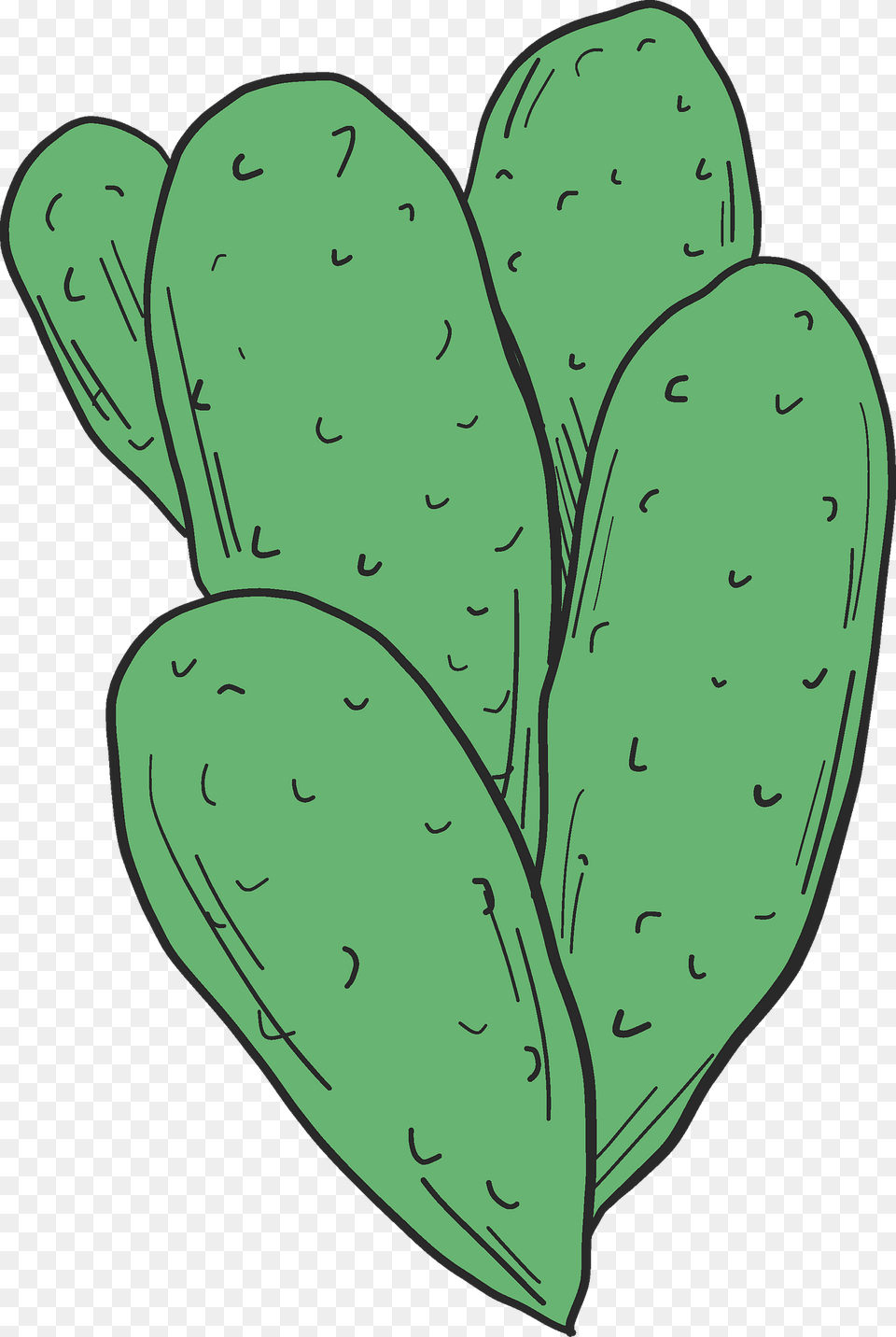 Cactus Clipart, Cucumber, Food, Plant, Produce Png Image