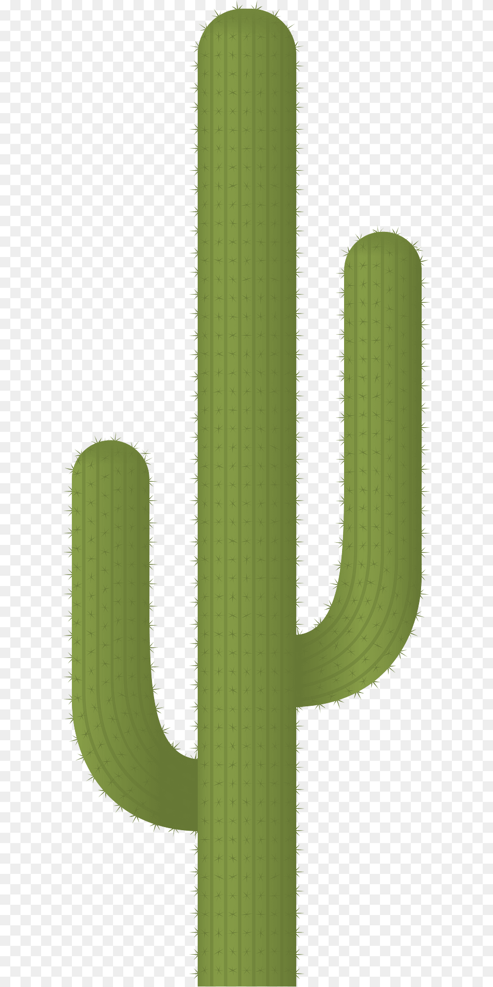 Cactus Clipart, Plant Png