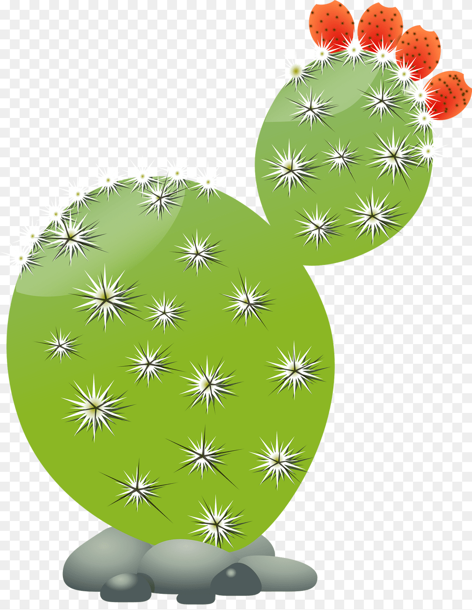 Cactus Clipart, Plant Png