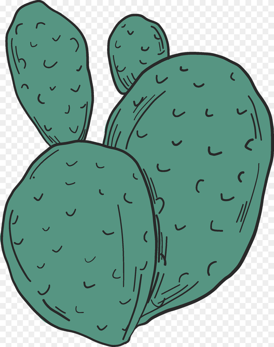 Cactus Clipart, Person, Face, Head, Food Png Image