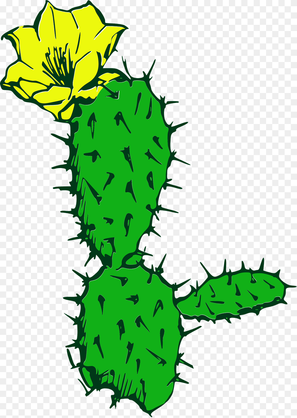 Cactus Clipart, Plant Png