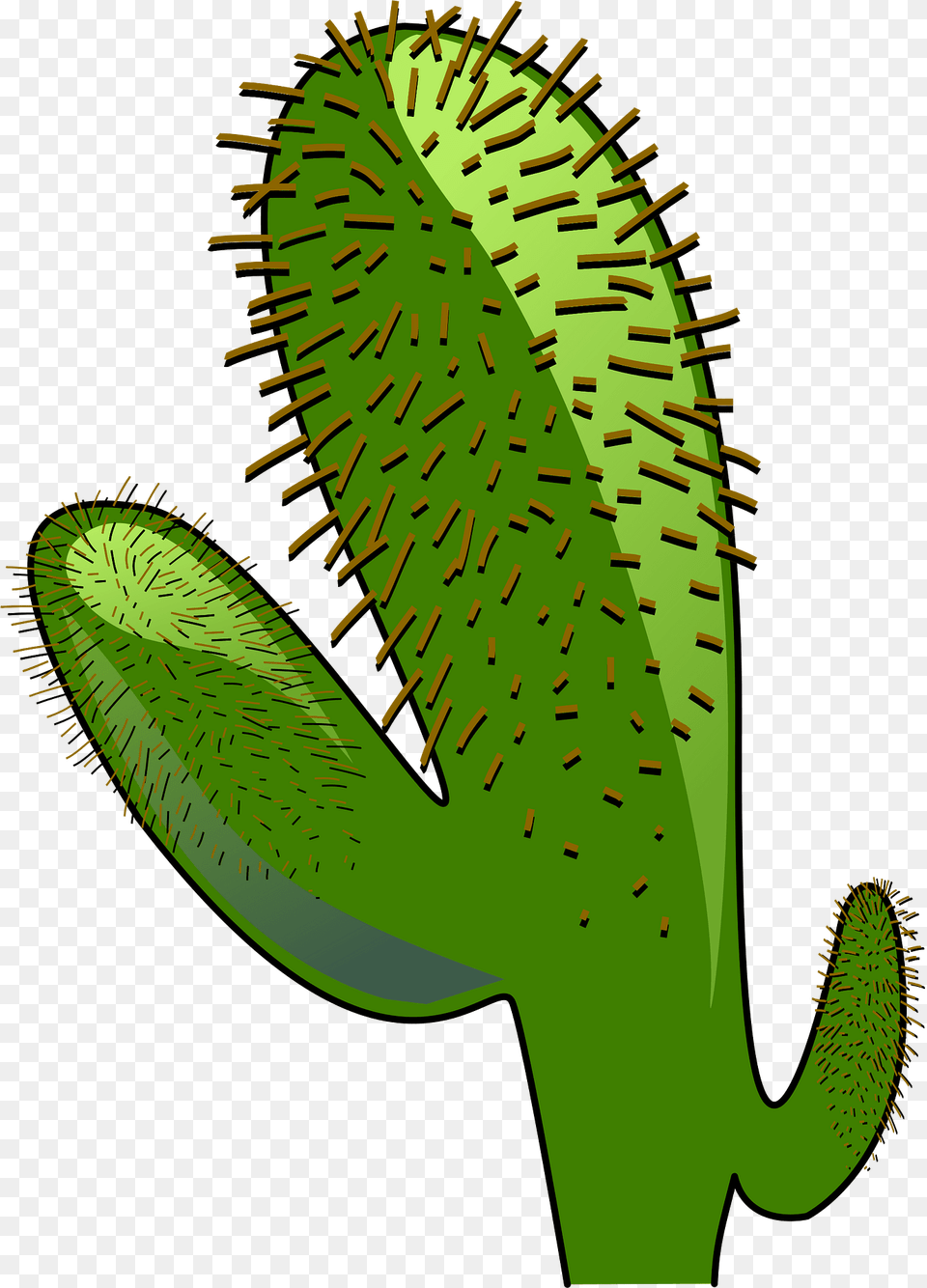 Cactus Clipart, Bud, Flower, Plant, Sprout Free Png