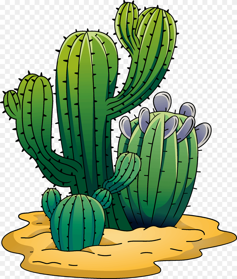 Cactus Clipart, Plant Png Image