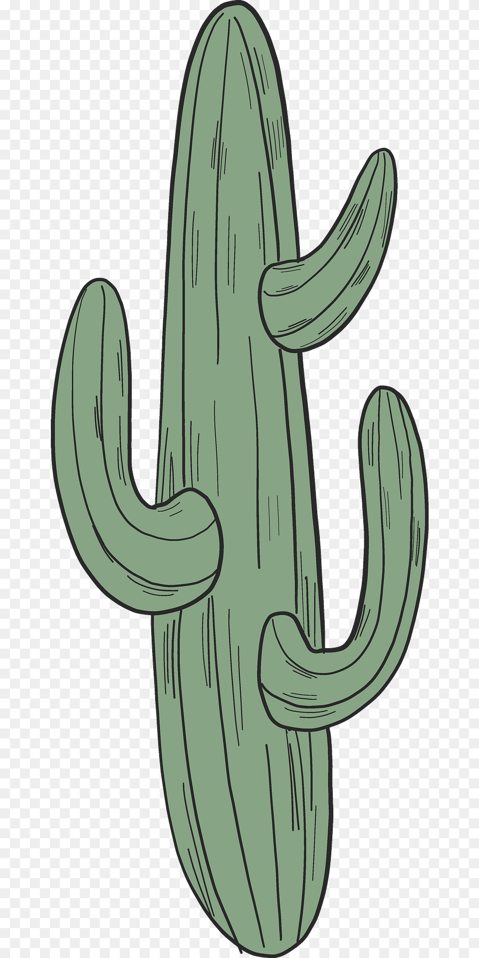 Cactus Clipart, Plant Free Png Download
