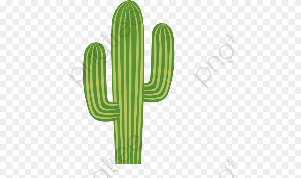 Cactus Clipart Cartoon Cactus, Plant Free Png Download