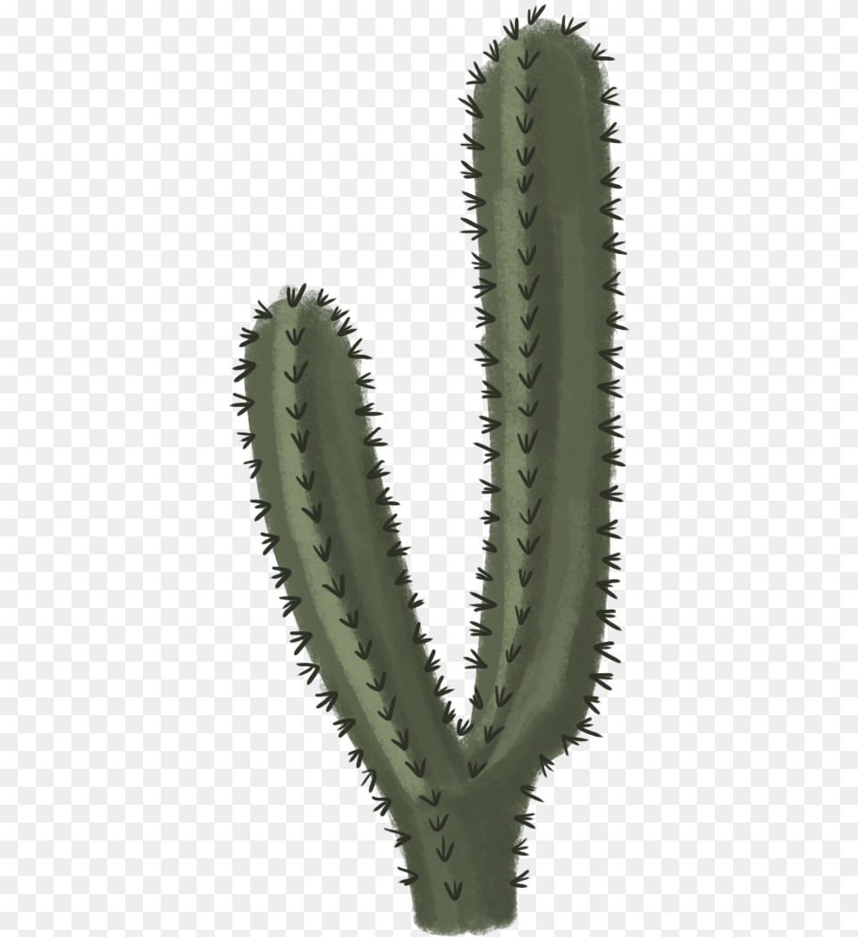 Cactus Clipart Clipart Images Cactus, Plant Png Image