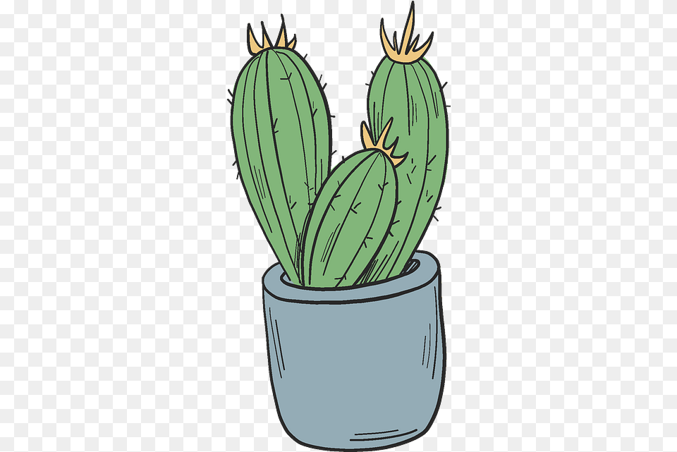 Cactus Clipart Flowerpot, Plant Free Transparent Png