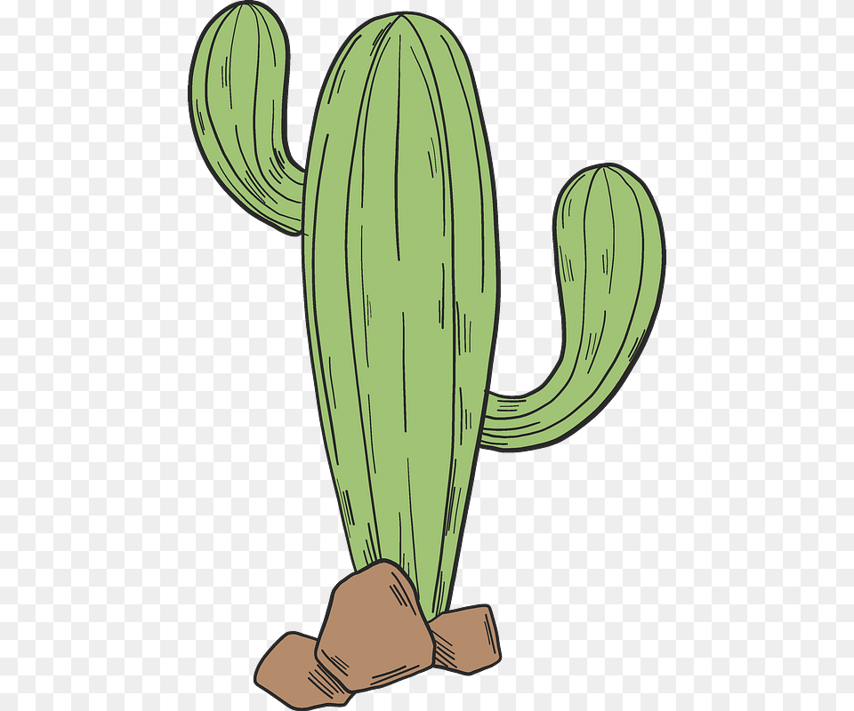 Cactus Clipart Hedgehog Cactus, Plant Free Transparent Png