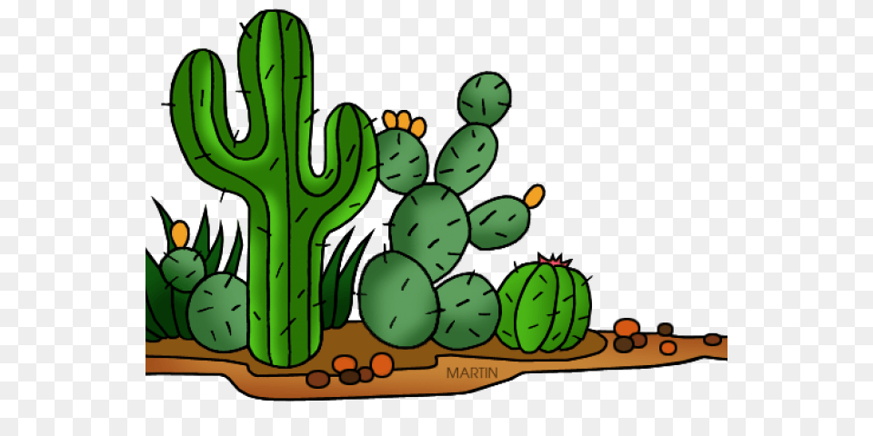 Cactus Clipart Man, Plant, Dynamite, Weapon, Ball Free Transparent Png