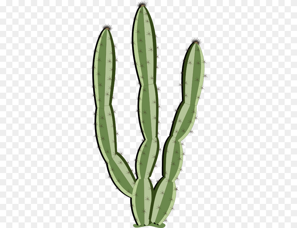 Cactus Clipart Saguaro, Plant, Astronomy, Moon, Nature Png