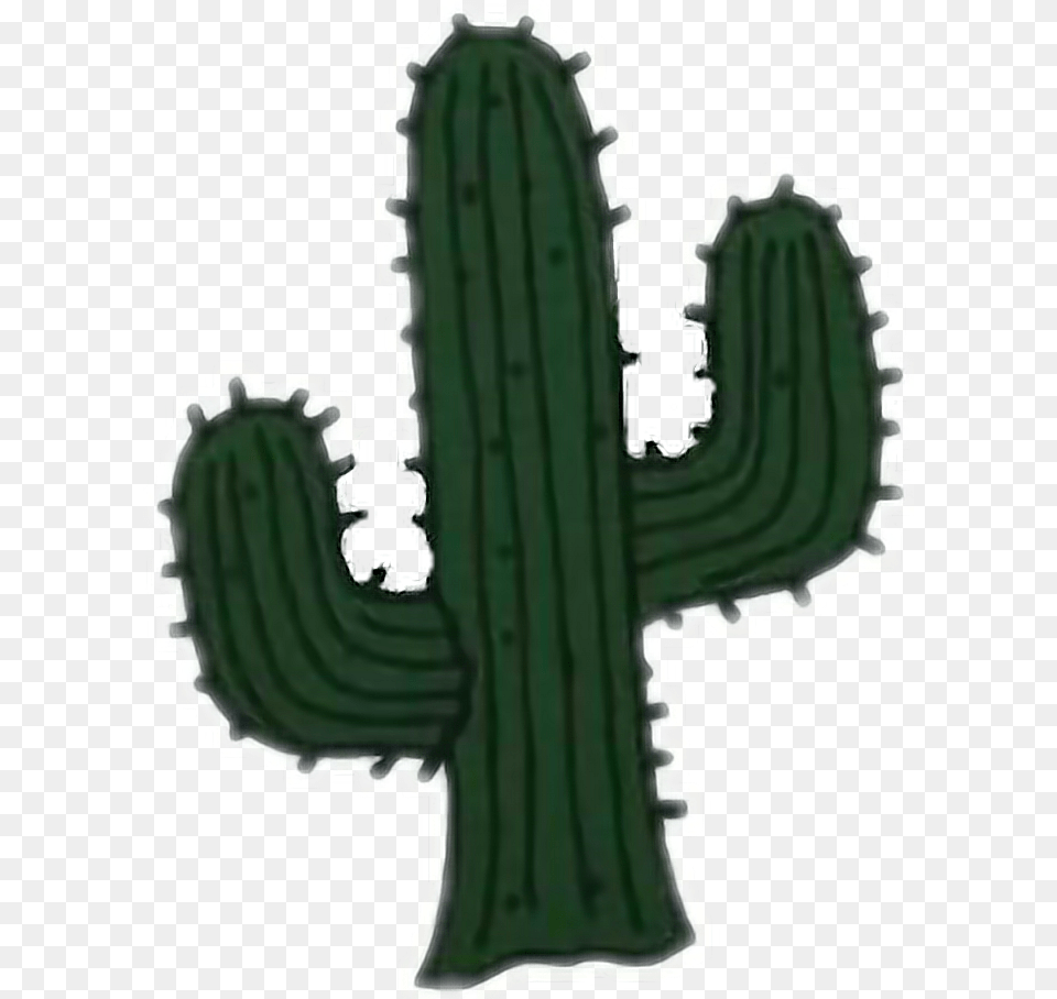 Cactus Clipart San Pedro Cacto Tumblr, Plant Png Image