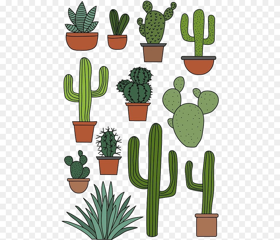 Cactus Clipart Set Doodles Art Cactus Clipart, Plant Free Transparent Png