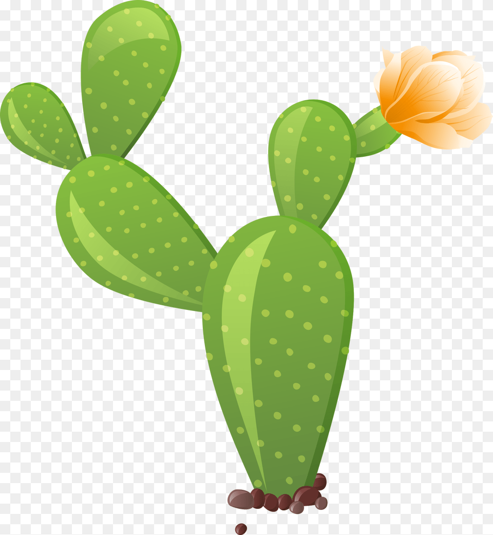 Cactus Clipart Transparent, Plant Png