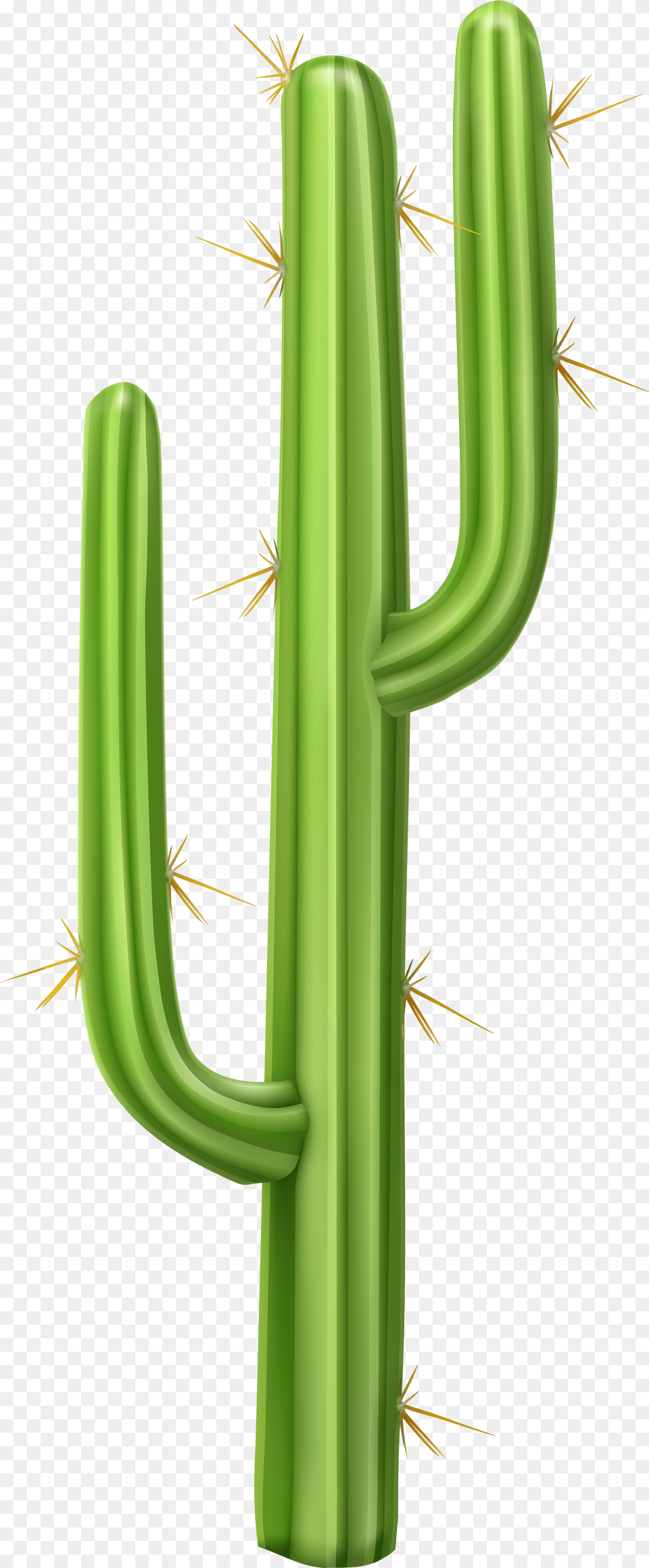 Cactus Clipart Transparent Background Png