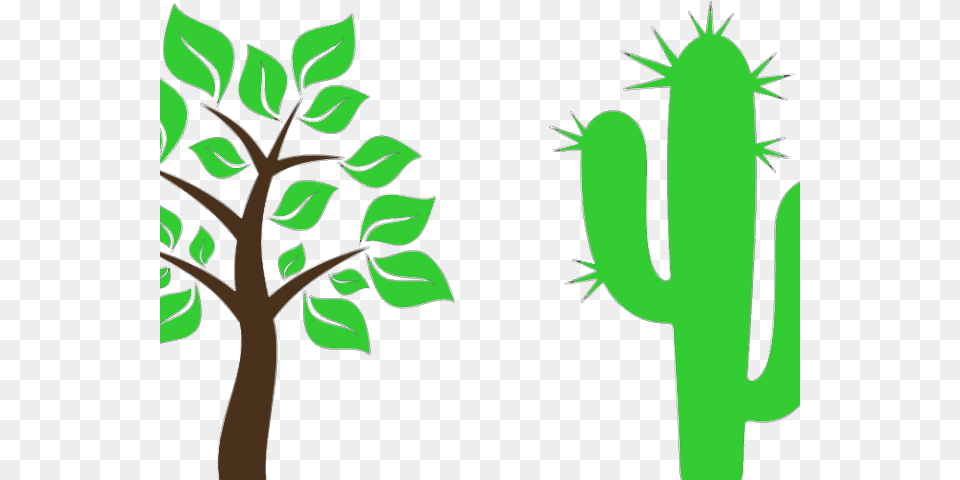 Cactus Clipart Tree, Green, Plant Png Image