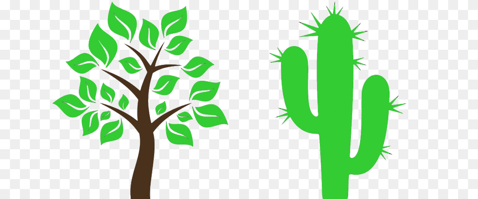 Cactus Clipart Tree, Green, Plant, Person Png