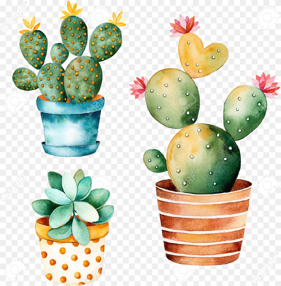Cactus Clipart Watercolor Handpainted Plant And Cute Cactus And Succulents, Potted Plant Png Image